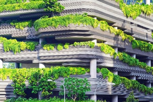 Green Building Basics and LEED